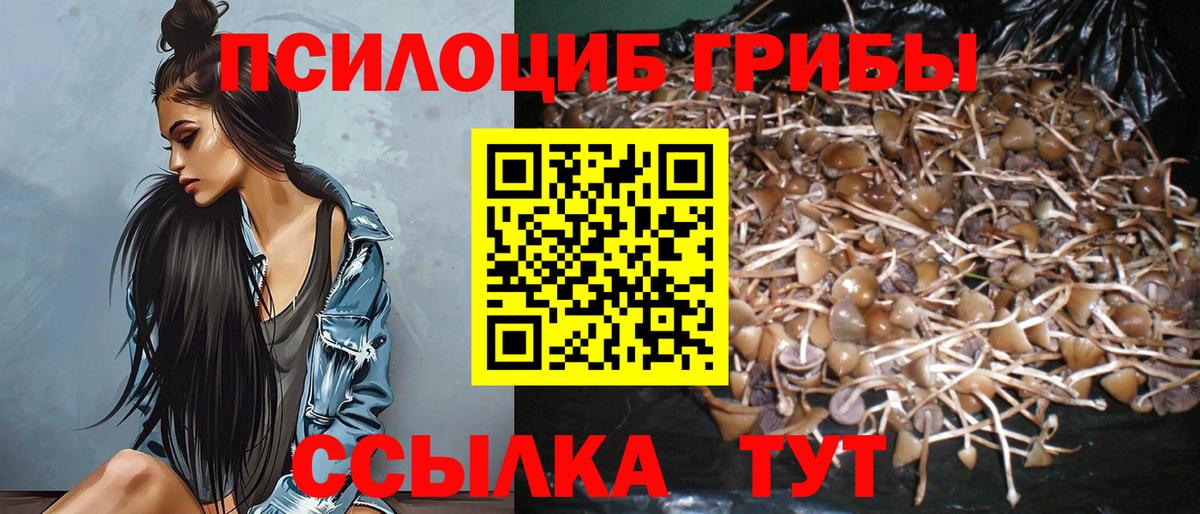 Псилоцибиновые грибы мицелий Десногорск