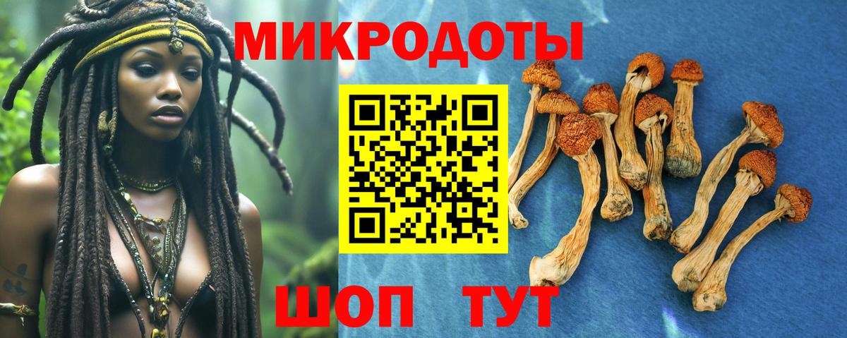 Десногорск  Псилоцибиновые грибы ЛСД  Вход с VPN 